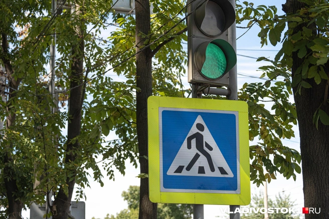 Проект просуществовал недолго  | Источник: Елена Буйвол / VLADIVOSTOK1.RU