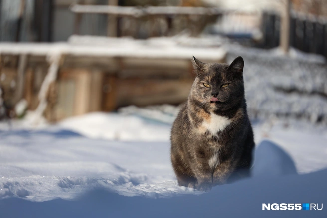 Погода на этой неделе будет разнообразная | Источник: Евгений Софийчук / NGS55.RU
