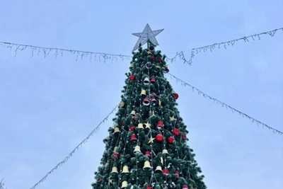 Открытие главной городской ёлки в Барнауле