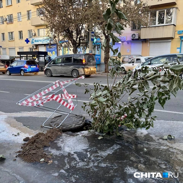 Источник: «Чита.Ру»