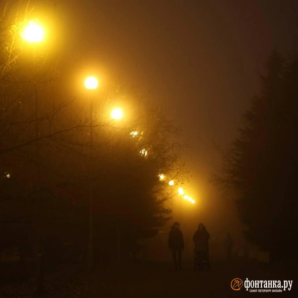 Источник: Марина Мамонтова / «Фонтанка.ру»