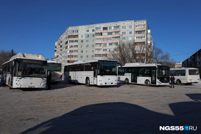 Один из городов региона вошел в список самых лучших в сфере соцтранспорта | Источник: Евгений Софийчук / NGS55.RU