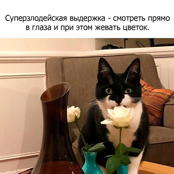 Источник: соцсети