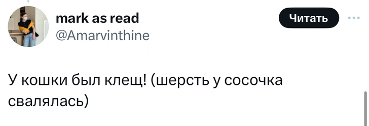 В «Твиттере» делятся тупыми причинами, по которым возили животных в ветеринарные клиники. И это уморительно!