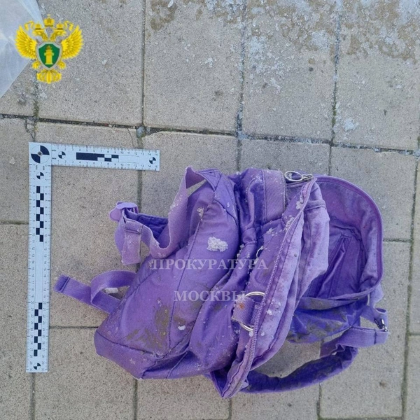 Источник: Прокуратура Москвы / T.me