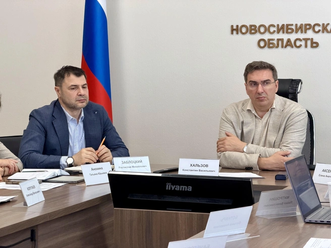 С федеральными экспертами встретились заместитель губернатора Константин Хальзов и министр здравоохранения региона Ростислав Заблоцкий | Источник: www.nso.ru