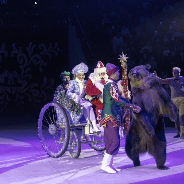 Источник: Рязанский государственный цирк