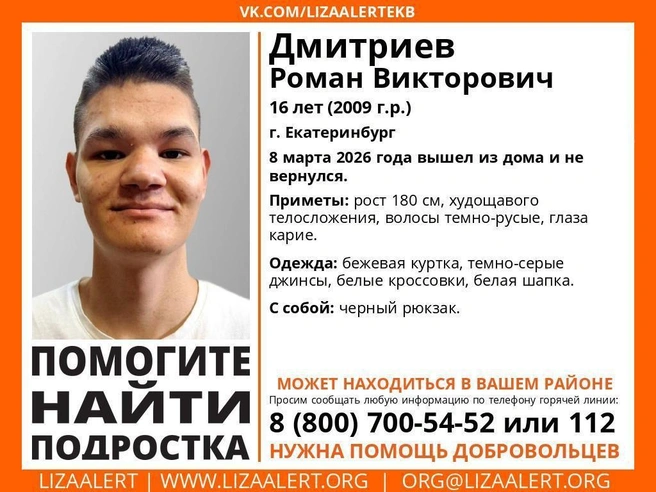 При наличии информации о местонахождении Романа просьба сообщить. | Источник: «ЛизаАлерт»