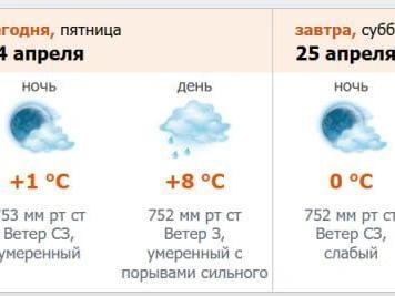 Скриншот с meteo.nw.ru