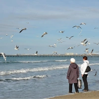 «Хотелось просто просохнуть и поспать»: туристка рассказала, как тщетно пыталась отдохнуть в мокрой зимней Анапе