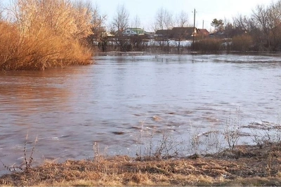 Урал у Оренбурга поднялся до 508 см