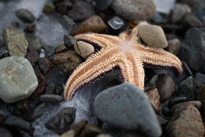 Борис Кубай: погода в Приморье в 2025-м аномальна из-за Ла-Нинья