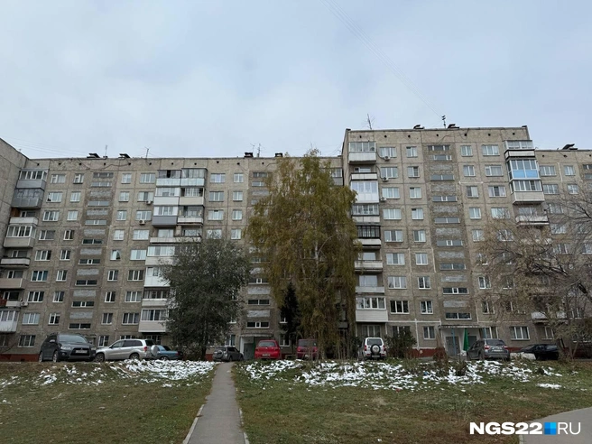 Большая часть района — панельные дома | Источник: Полина Шевчукова / NGS22.RU