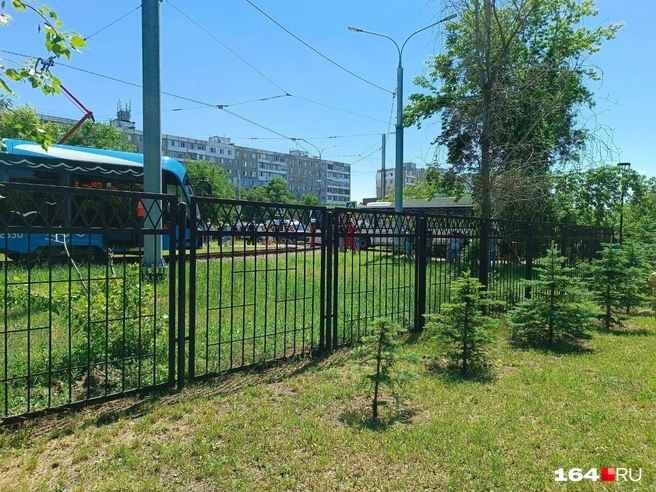 Из-за ДТП приостанавливали работу скоростных трамваев | Источник: Предоставлено очевидцами с места происшествия