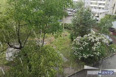 Обильные осадки и грозы понизят температуру в Приамурье 16 июля
