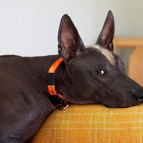 Источник: Xolodan/Shutterstock/Fotodom.ru