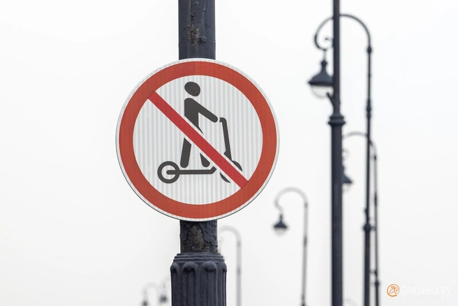 Он считает, что регулировать их работу должны главы муниципалитетов | Источник: Михаил Огнев / FONTANKA.RU