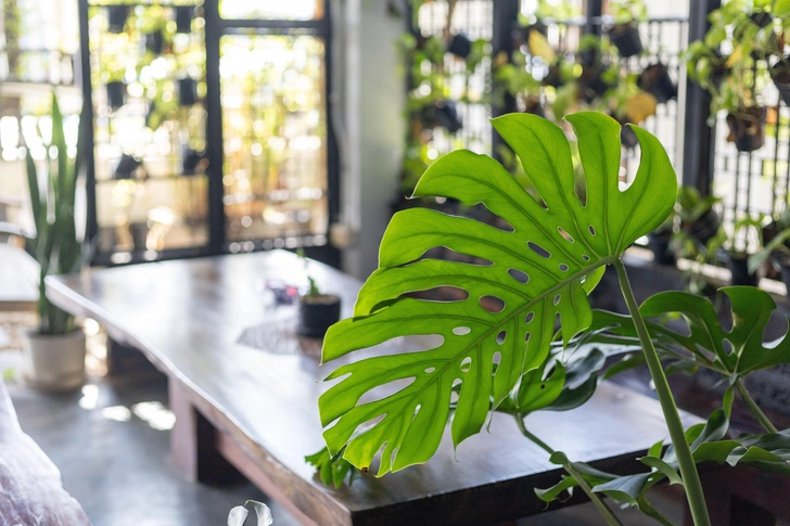 Источник: Legion-Media