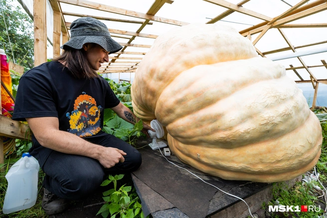 Источник: Артем Устюжанин / MSK1.RU