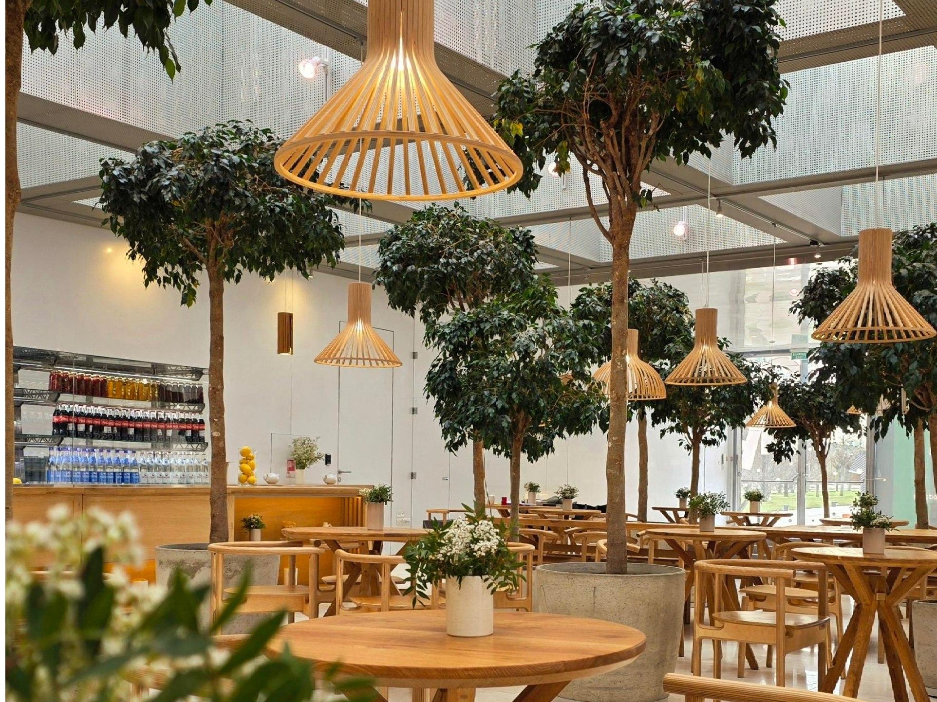 В парке «Краснодар» появилось новое итальянское кафе. Какие там цены?