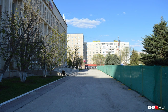 Под окнами администрации растут каштаны | Источник: Анастасия Баринова / 56.RU