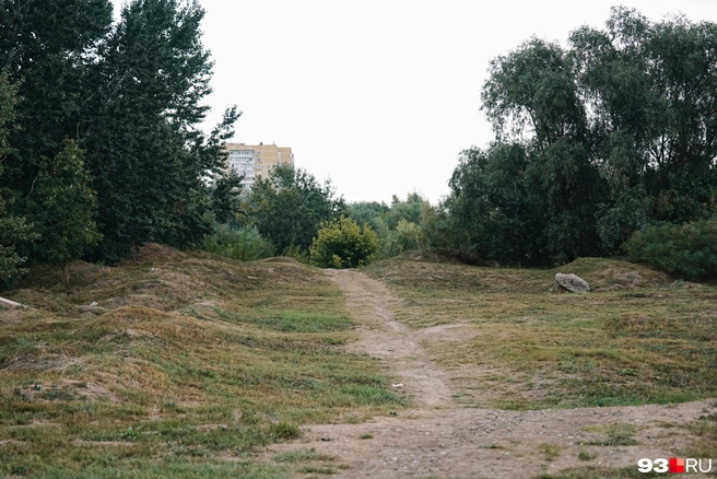 Жители часто выходят в зеленую зону на пикники | Источник: Дарья Паращенко / 93.RU