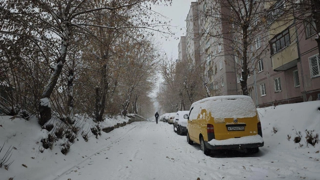 Источник: Маргарита Резникова / NGS.RU