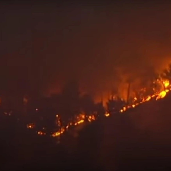 Источник: CNA / YouTube