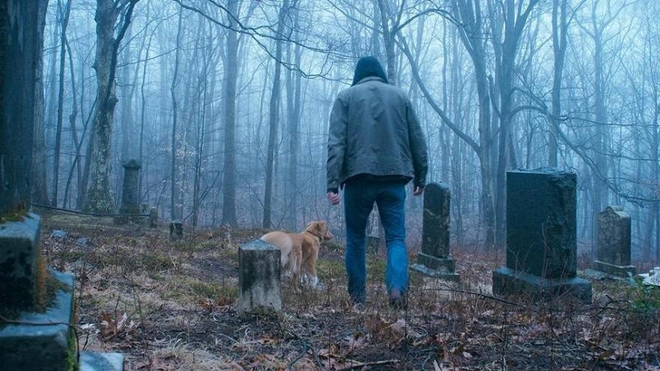 Фильм «Глазами пса»: в чем смысл нового хоррора про собаку и ее хозяина и почему он так пугает зрителей | Источник: Кадр из фильма «Глазами пса»