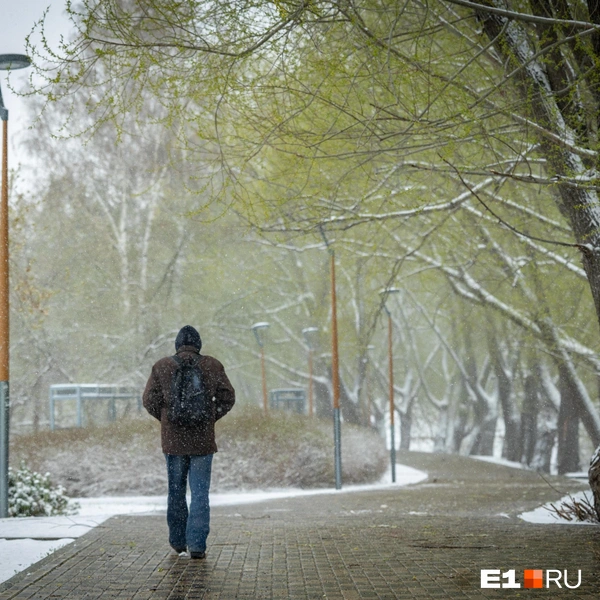 Источник: Владислав Лоншаков / E1.RU