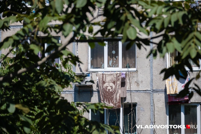 Горячо любим ландшафт нашего края | Источник: Елена Буйвол / VLADIVOSTOK1.RU