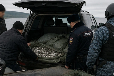 Полиция изъяла 511 кило корюшки у браконьеров на Камчатке