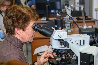 Bone Patches, Fertility Mesh, and 'Cold' Electricity: Top Developments from Tomsk Scientists