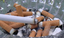 ВОЗ: на сигаретных пачках должны быть пугающие изображения