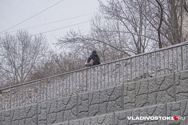 Надо быть осторожным на дорогах | Источник: Елена Буйвол / VLADIVOSTOK1.RU