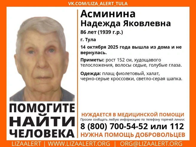 Ориентировка на пропавшую пенсионерку | Источник: Поисковый отряд «ЛизаАлерт» Тульской области / ВКонтакте