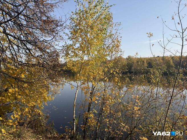 Хорошо под осеннюю свежесть Душу-яблоню ветром стряхать И смотреть, как над речкою режет Воду синюю солнца соха. | Источник: Сергей Петунин / YA62.RU