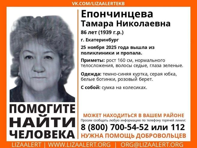 Источник: поисковый отряд «ЛизаАлерт»