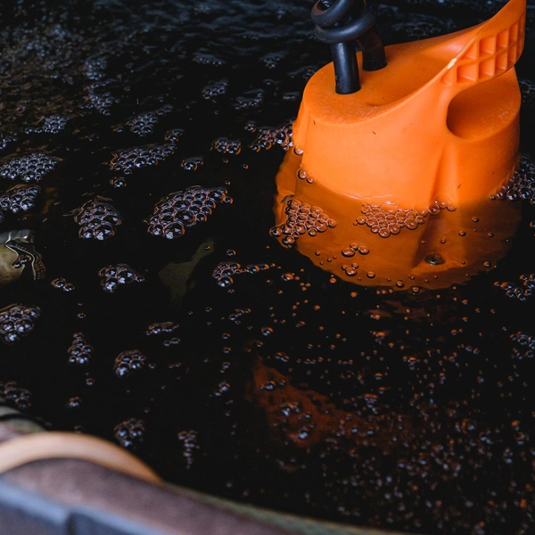 Заливают их специальным раствором для питания зелени | Источник: Калмаков Тимофей