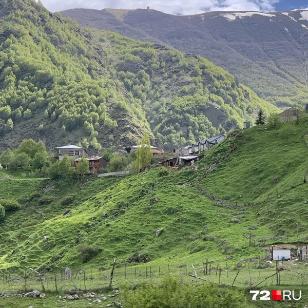 Источник: Полина Перепелица / 72.RU