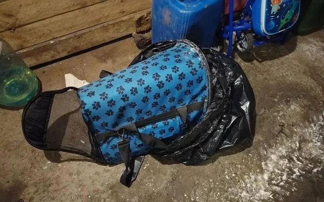 Собака находилась в переноске, которая была завязана в черный мешок | Источник: Ксения Фридель