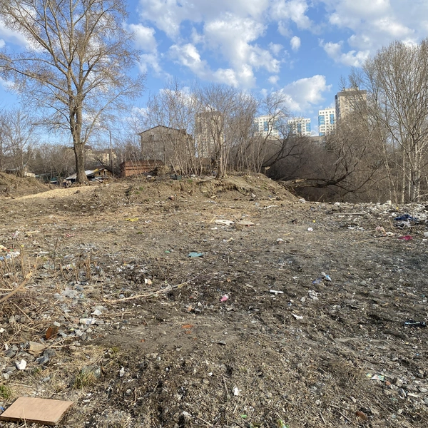 В рамках КРТ застройщик очистил берег и само озеро | Источник: ГК «Брусника»