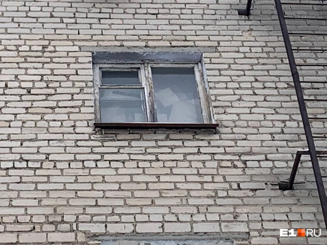 Мусор видно даже из окна | Источник: Артем Матюхин / E1.RU