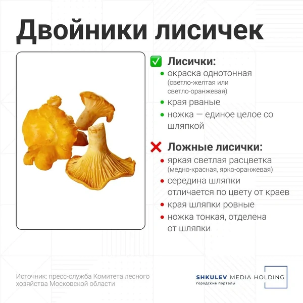 Источник: Серафима Пантыкина / Городские порталы