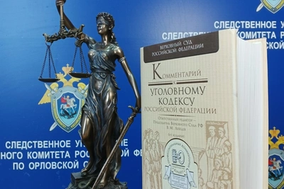 Орловец осужден на 7 лет за убийство зятя