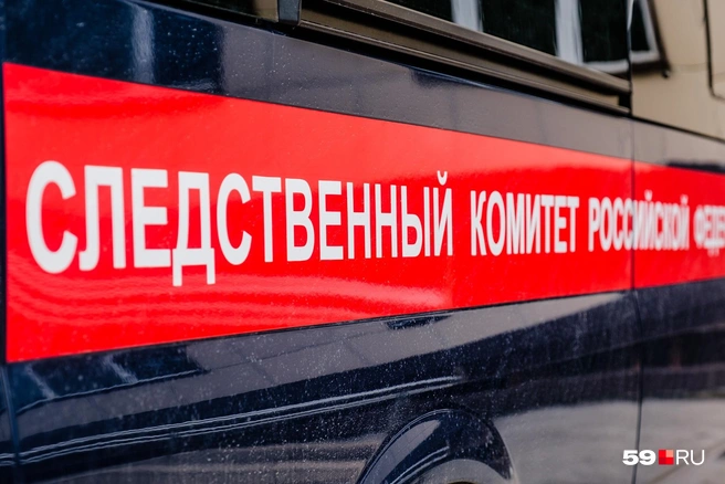 Уголовное дело расследует СУСК по Пермскому краю | Источник: Тимофей Калмаков