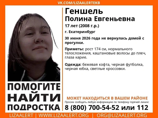 Источник: волонтерский отряд «ЛизаАлерт»