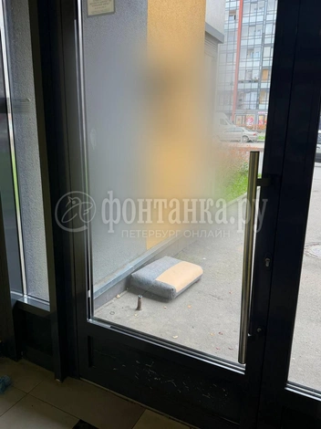 Источник: Анастасия Голубева / FONTANKA.RU