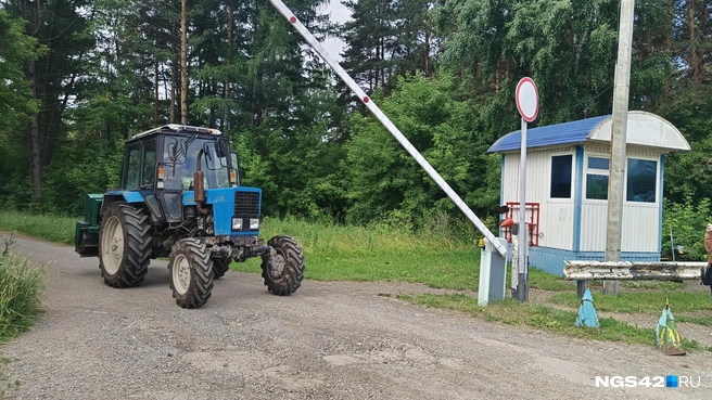 Бор — одна из главных достопримечательностей Кемерова | Источник: Елена Гуськова / NGS42.RU