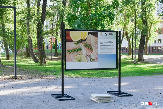 Источник: Иван Митюшёв